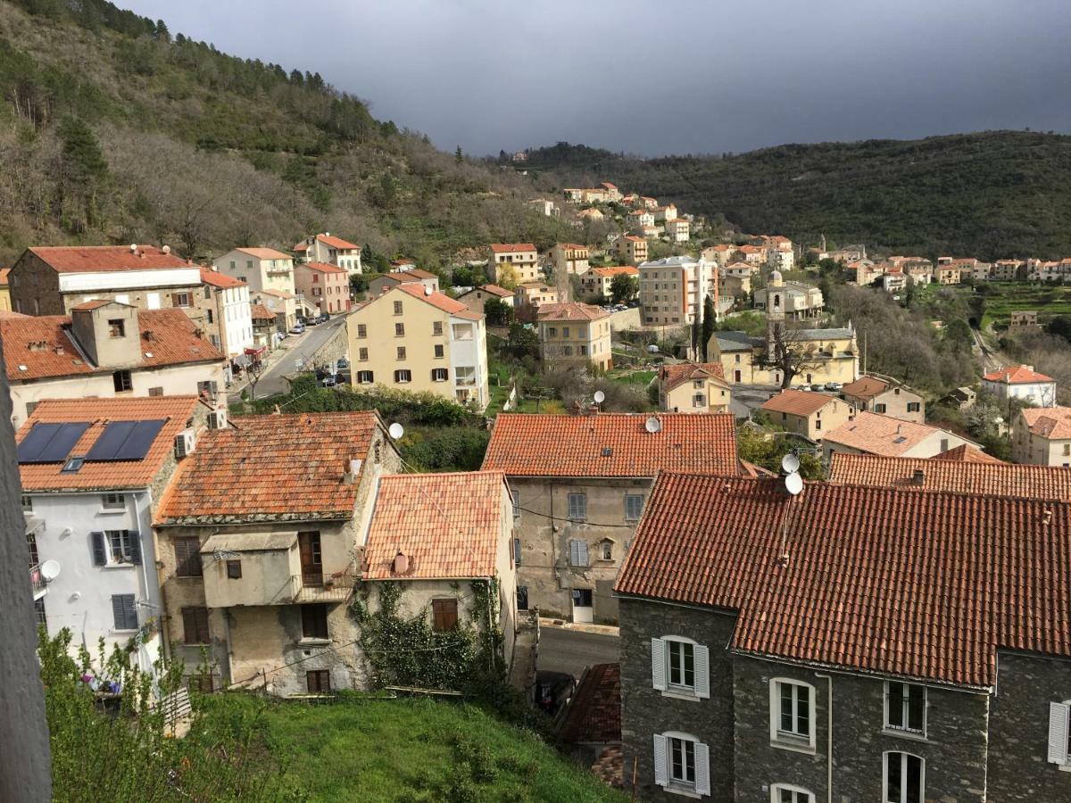 Maison Entiere Tout Equipe 4 Chambre Possibilite De 10 Couchage Venaco Centre Corse Luaran gambar